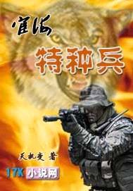 宦海特种兵封面