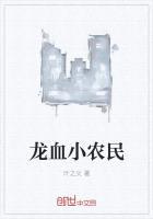 龙血小农民封面